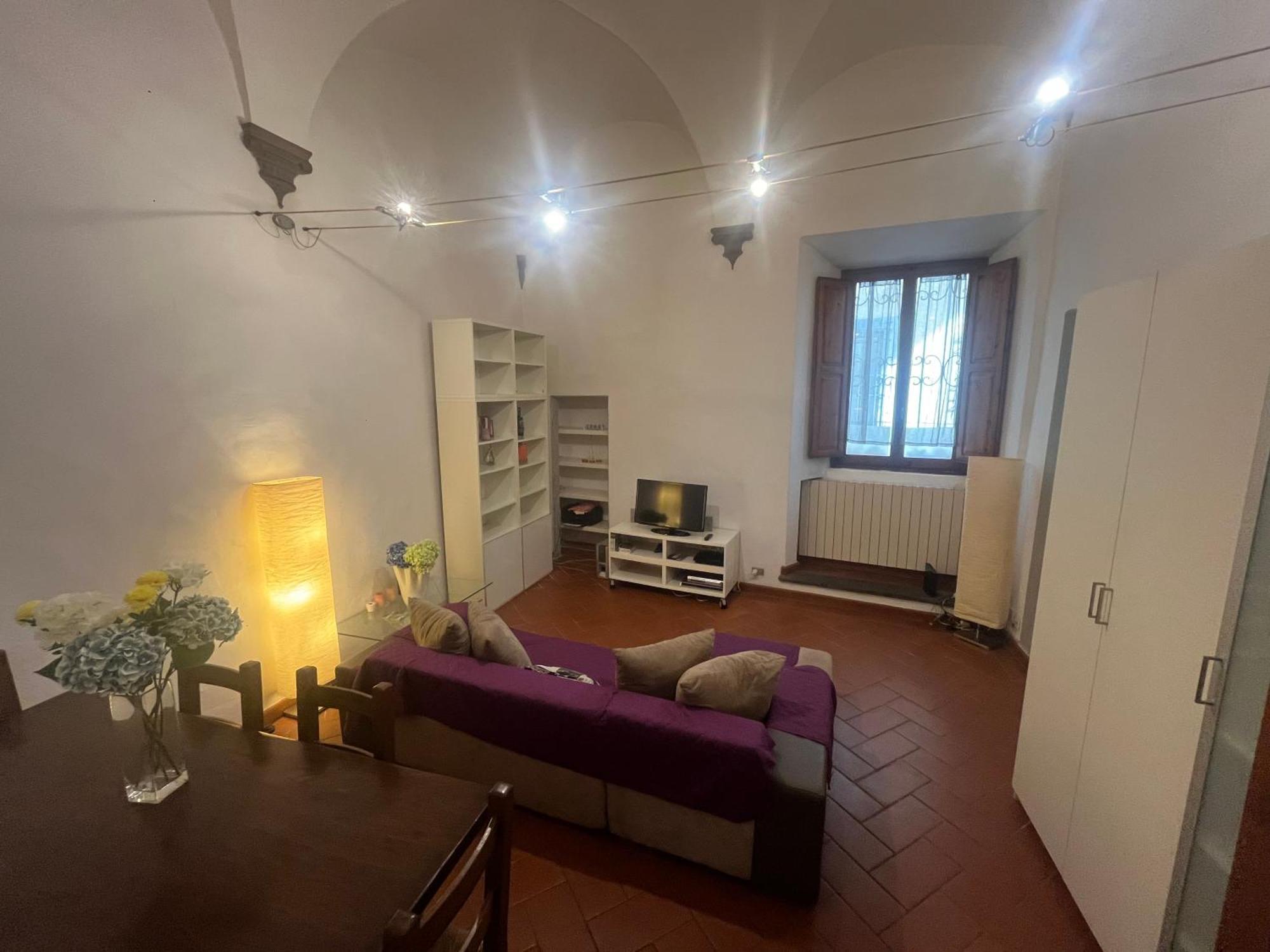 Santo Spirito Apartment Florencie Exteriér fotografie